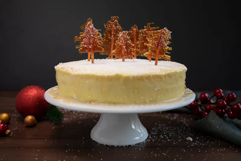 Blagdanska zimska torta