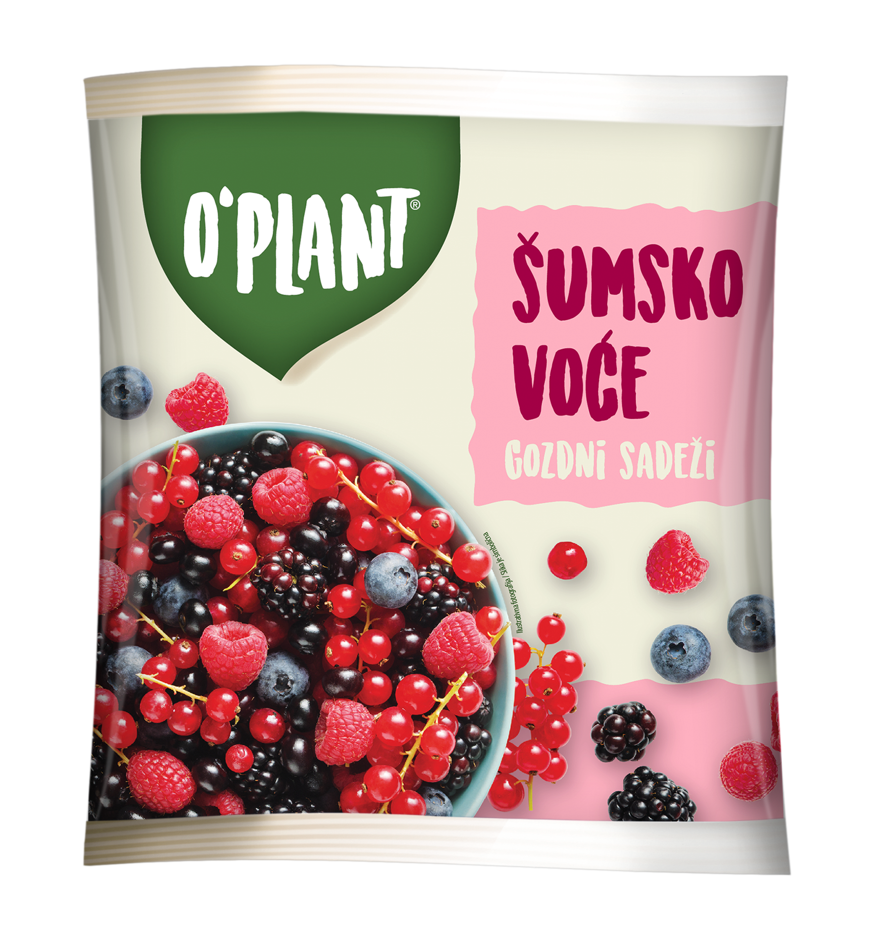 Šumsko voće