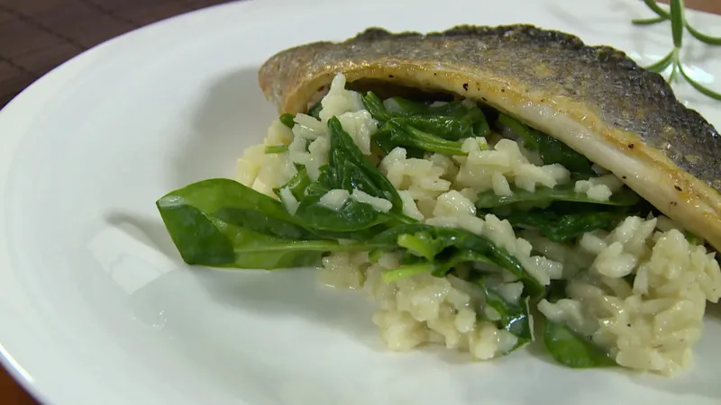 Brancin na rižotu sa špinatom