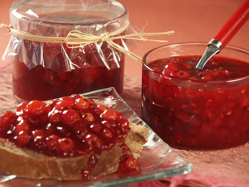 Džem od ribiza i malina