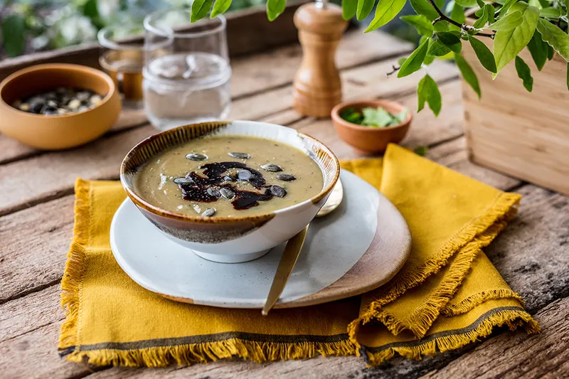 Krem juha sa sjemenkama