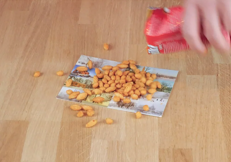 3 najčešće pogreške pri posluživanju Kviki grica (broj 4 će vas iznenaditi)