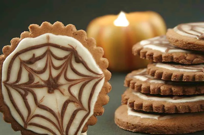 Slatka paukova mreža