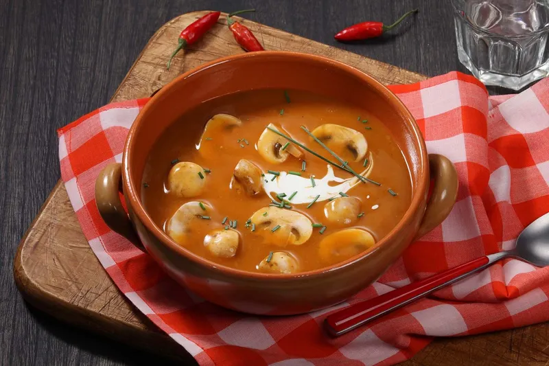 Šumska lovačka juha