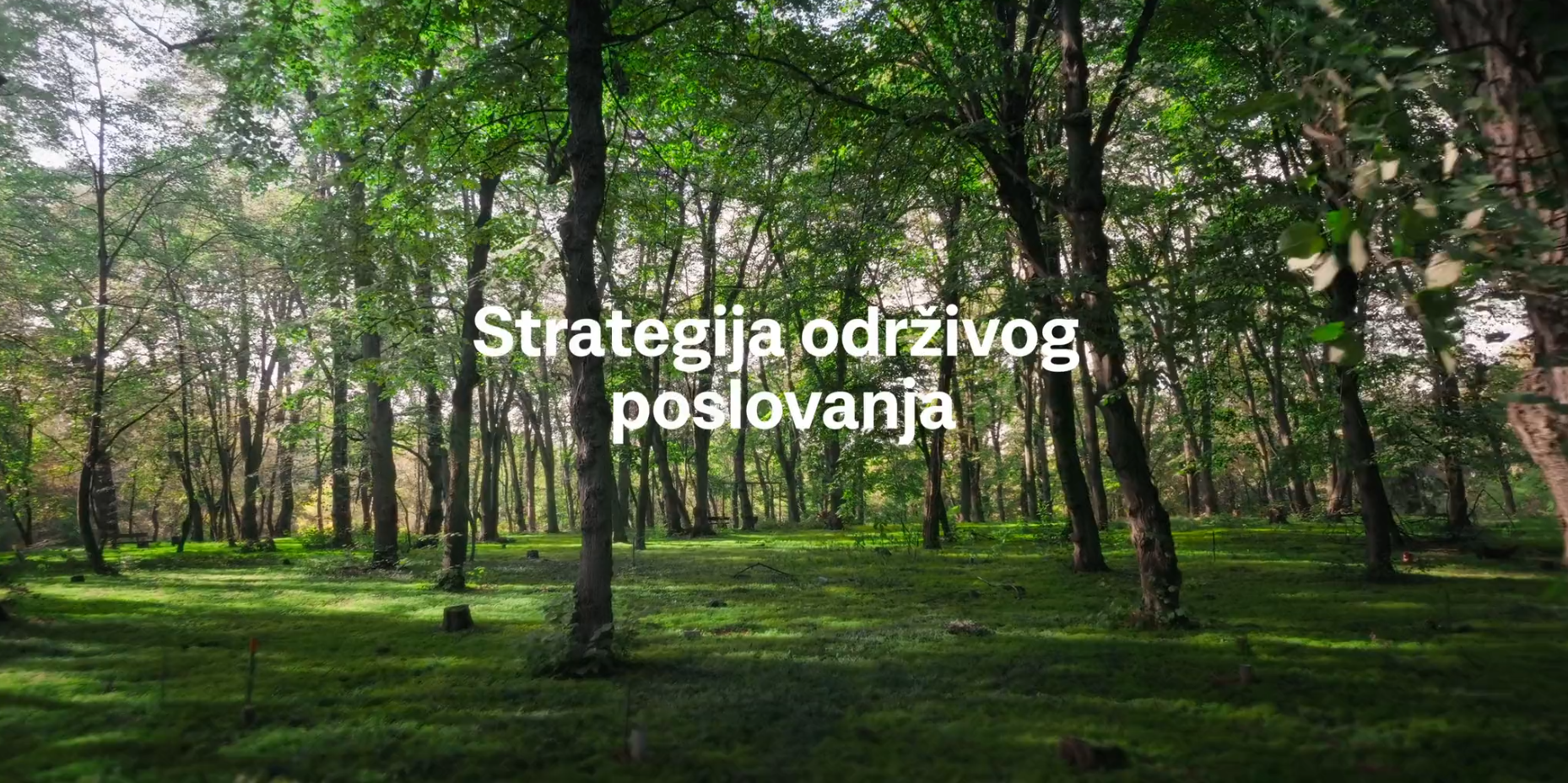 Podravka – Strategija održivog poslovanja